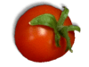 Captcha image 6464